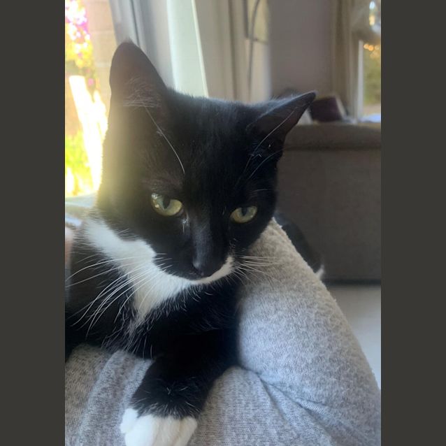 Photo of Thelma 