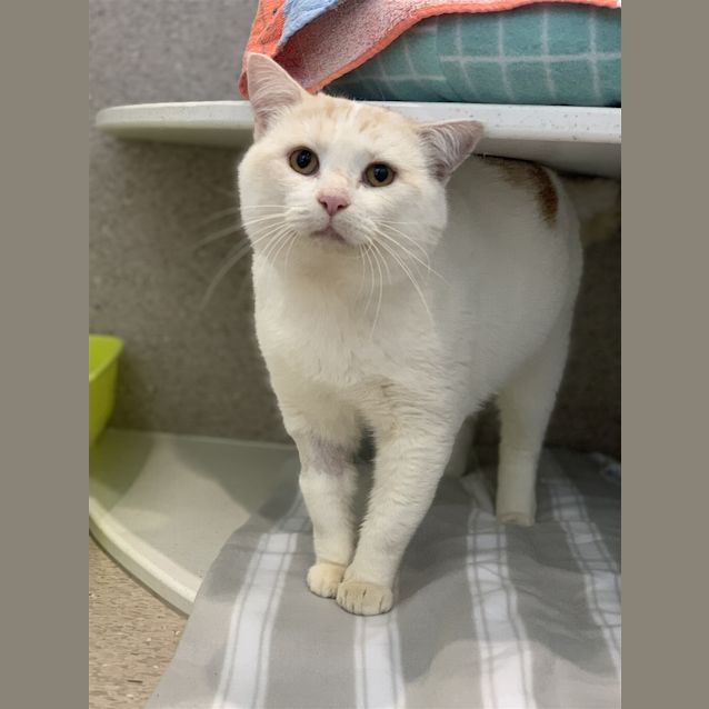 Photo of Casper 