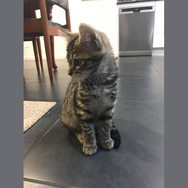 Photo of Kili