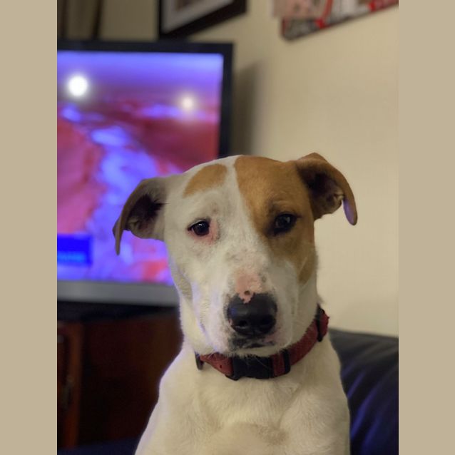 Photo of Lucy