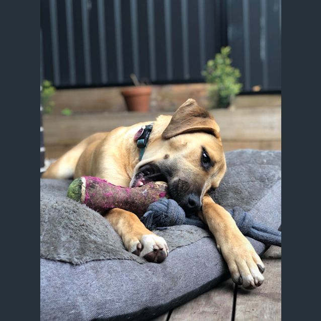 Photo of Ernest 