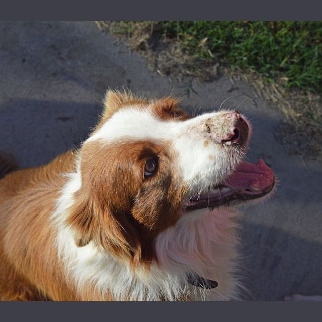 Photo of Jake