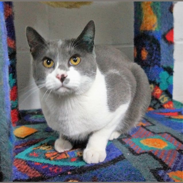 Photo of Flint