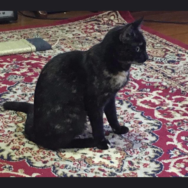 Photo of Cleo