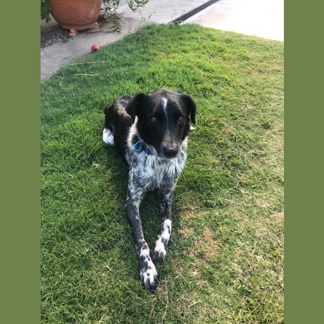 Photo of Duke
