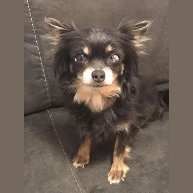 Photo of Tinkerbell