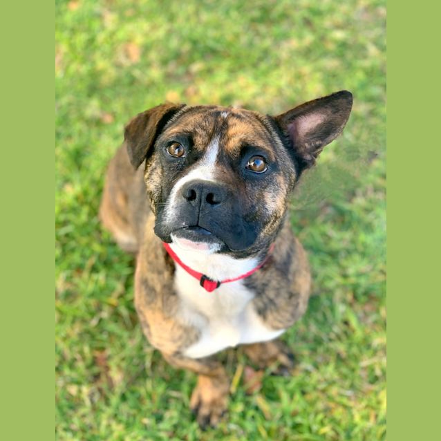 Photo of Rocket
