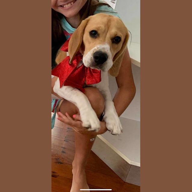 Photo of Ruby