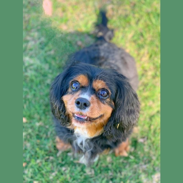 Photo of Pia