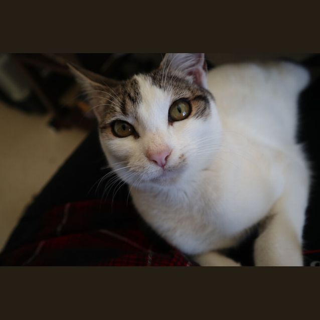 Photo of Sally 