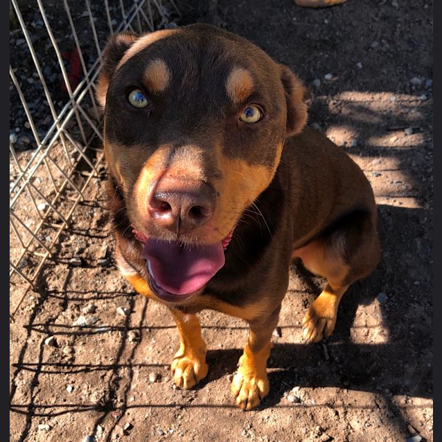 Photo of Tex