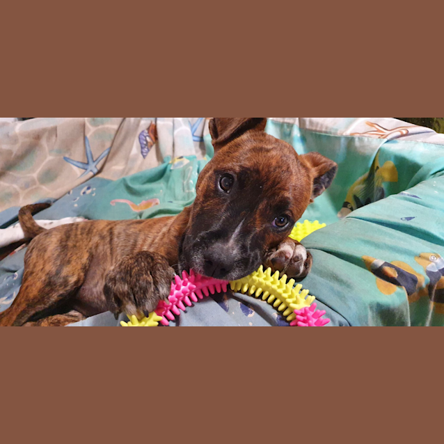 Photo of Keira