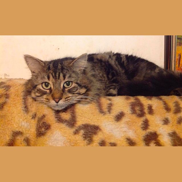 Photo of Tank