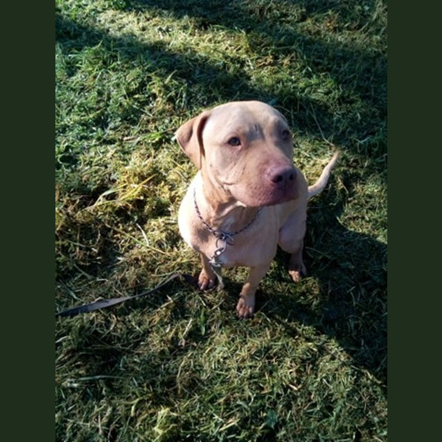 Photo of ♥ Roxy ♥   Love My Humans