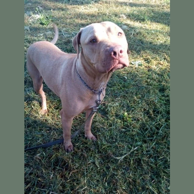 Photo of ♥ Roxy ♥   Love My Humans