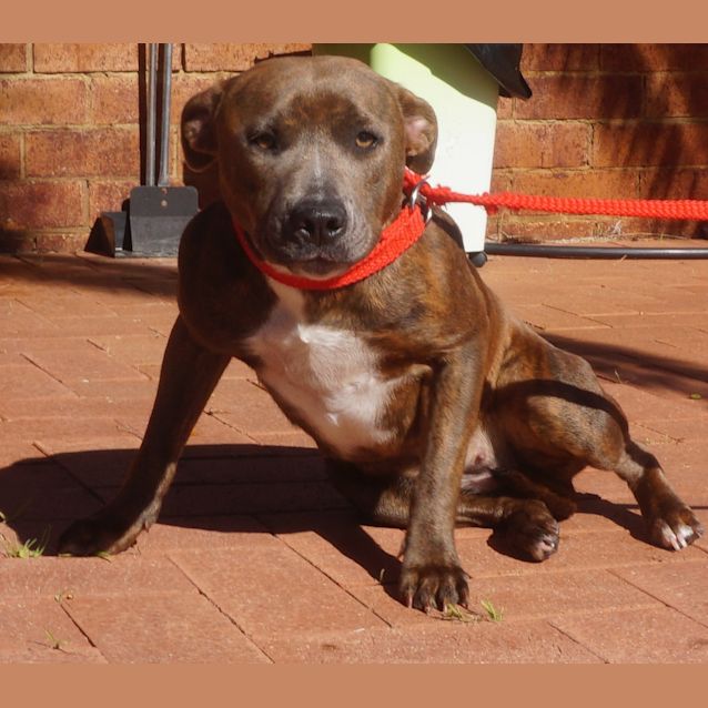 Photo of Annie