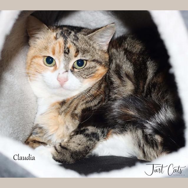 Photo of Claudia