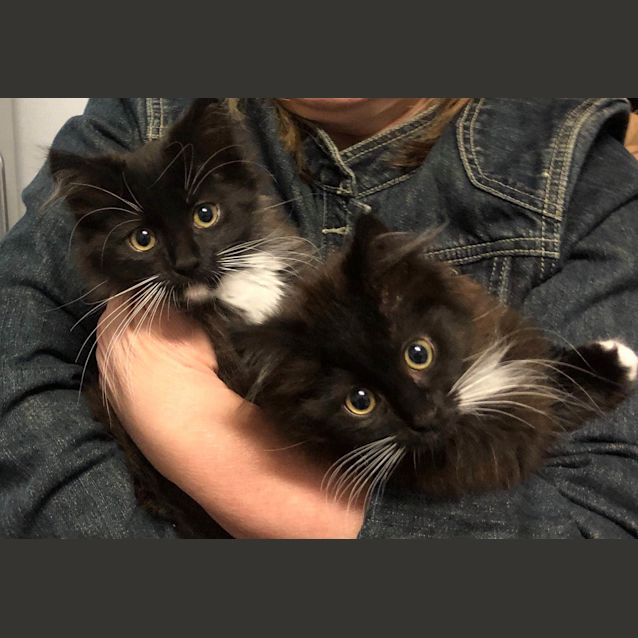 Photo of Eloise And Cinders ❤❤