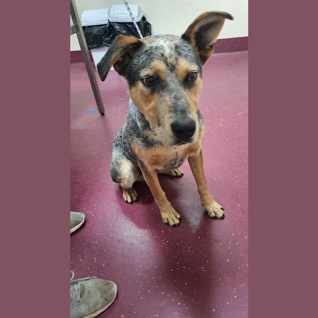 Photo of Jet