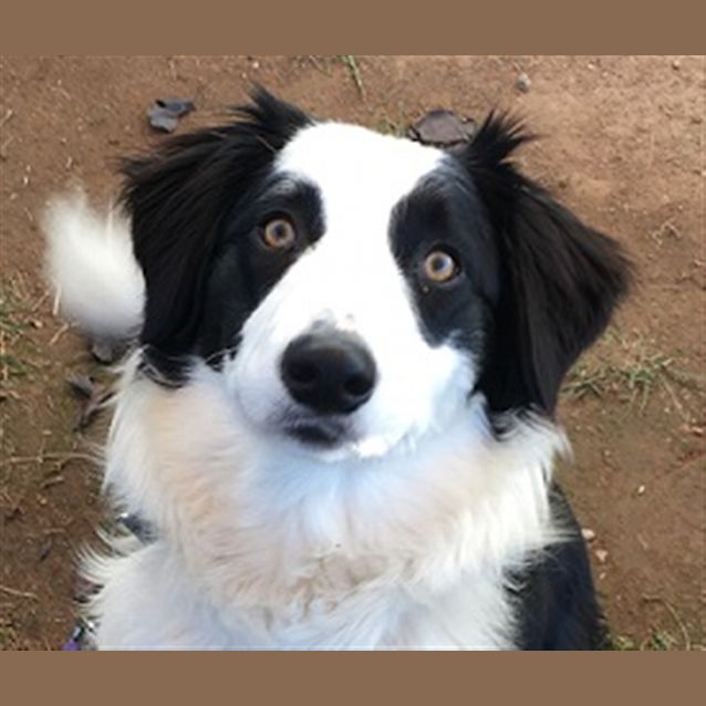 Photo of Lucy