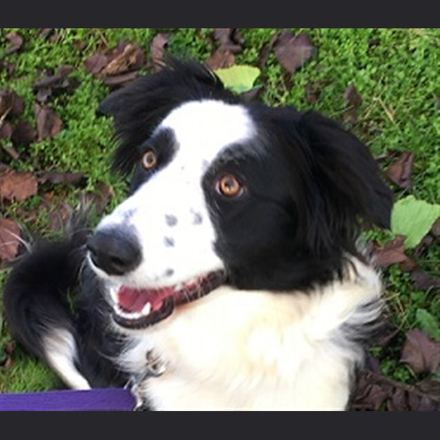 Photo of Lucy