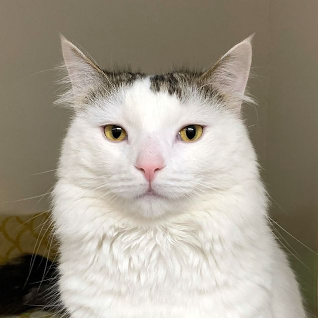 Photo of Timothy