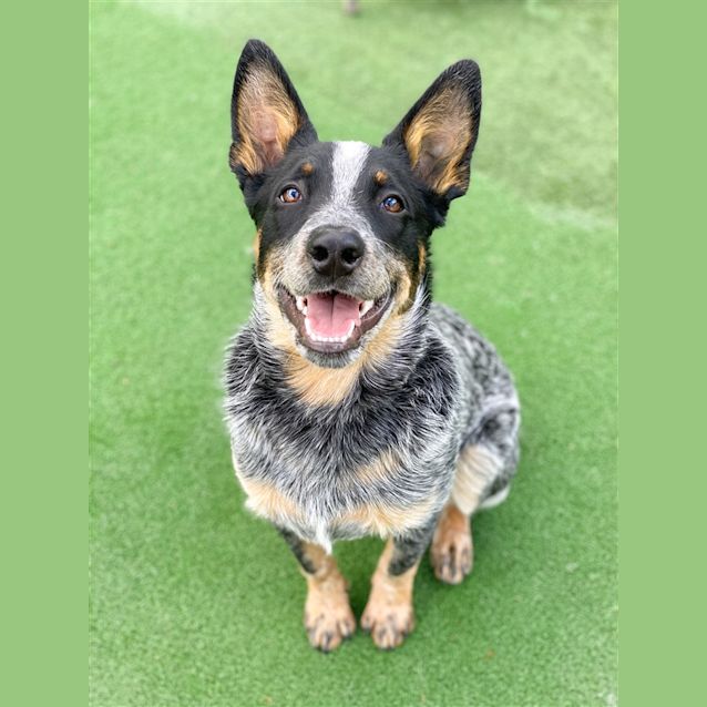 Photo of Tuck