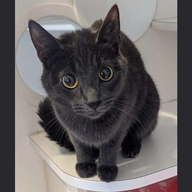 Photo of Laverne