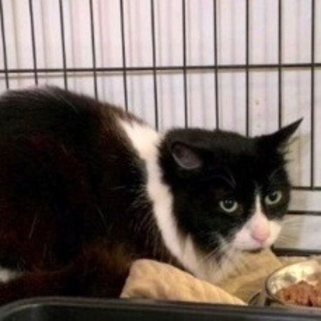 Photo of Tom Tom