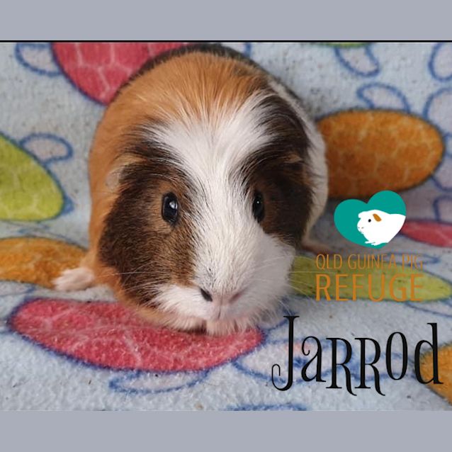 Photo of Jarrod