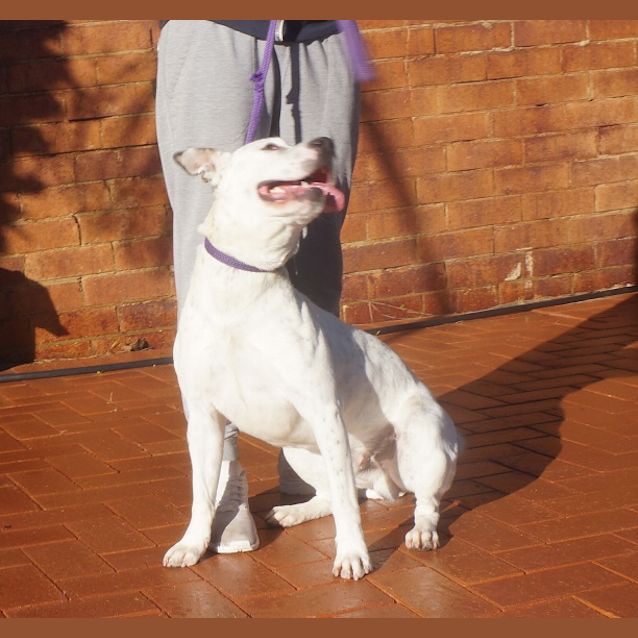 Photo of Chubbs