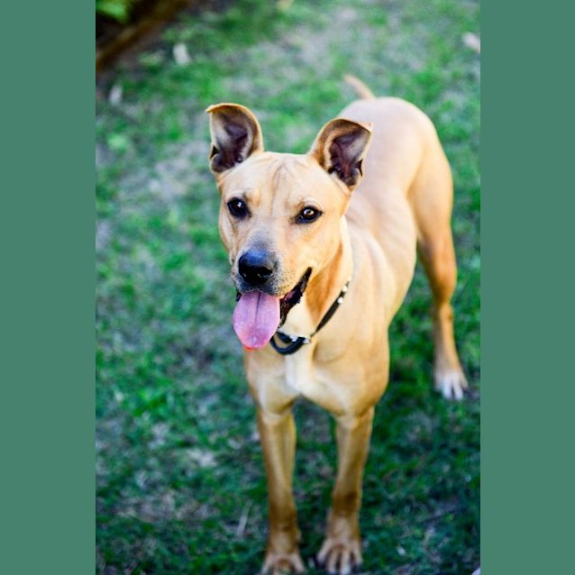 Photo of Monte