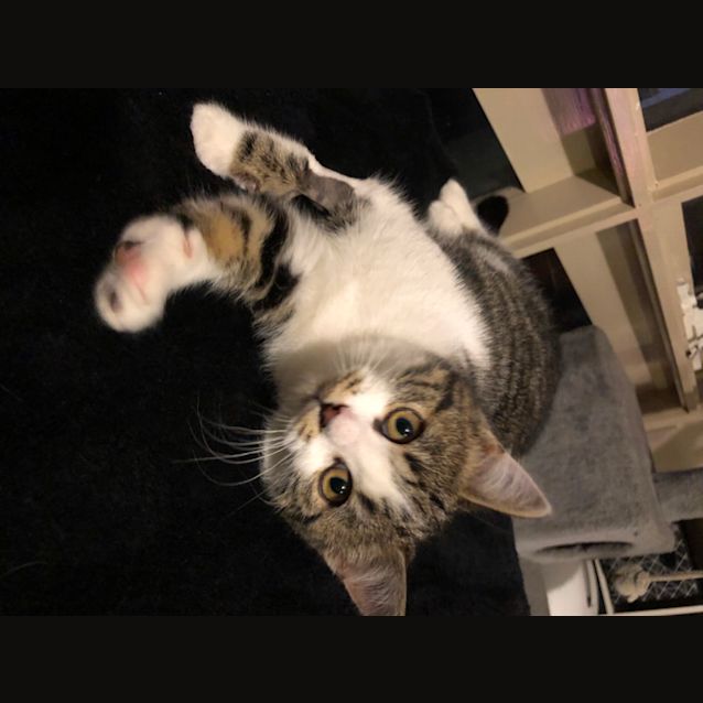 Photo of Love Bug