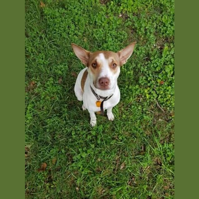 Photo of Sally Db575