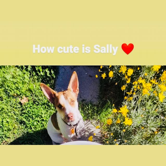 Photo of Sally Db575