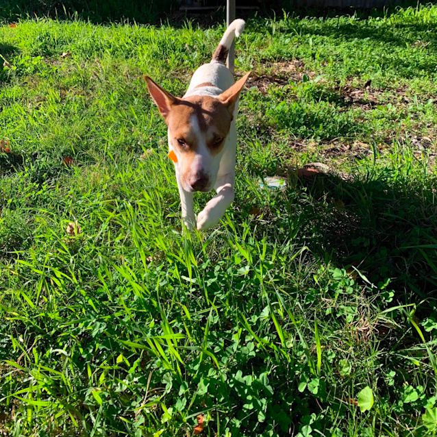 Photo of Sally Db575