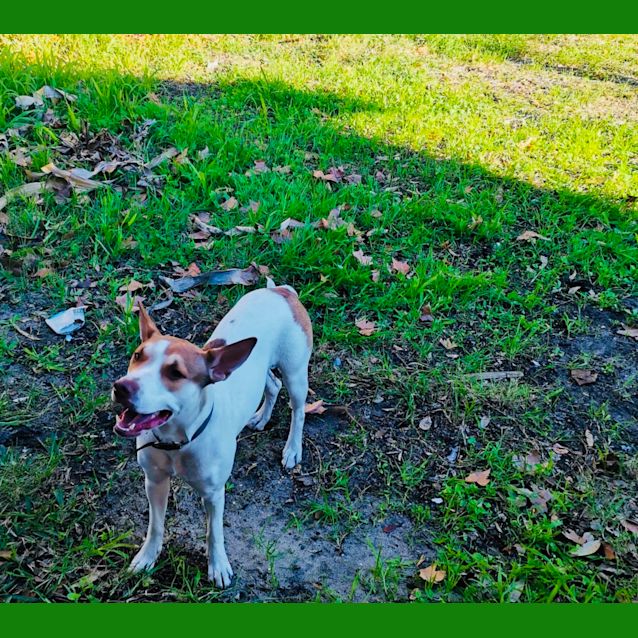 Photo of Sally Db575