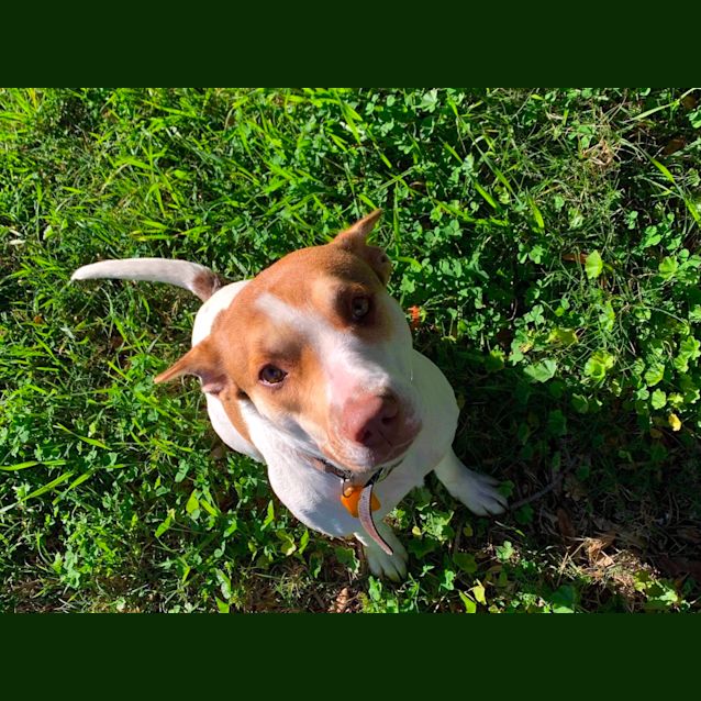 Photo of Sally Db575