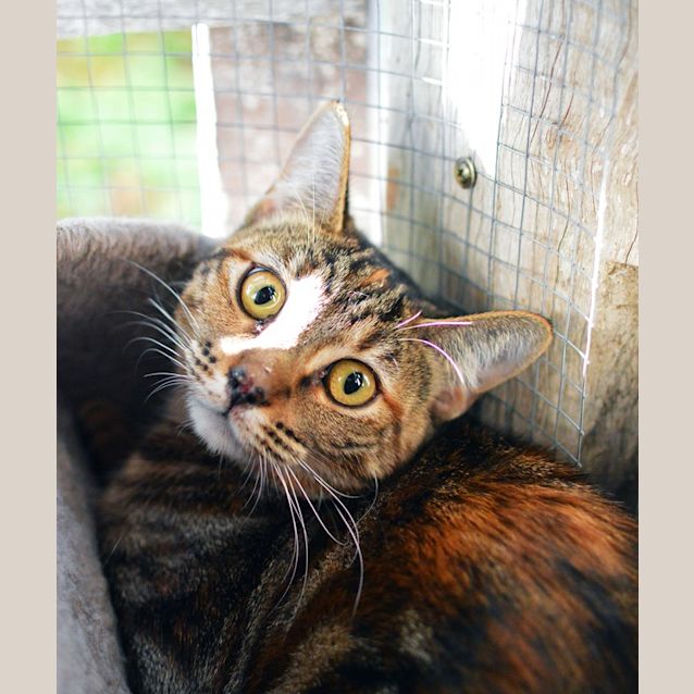 Photo of Charlotte