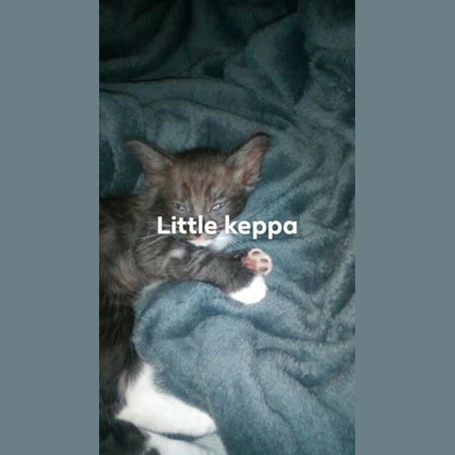 Photo of Keppa