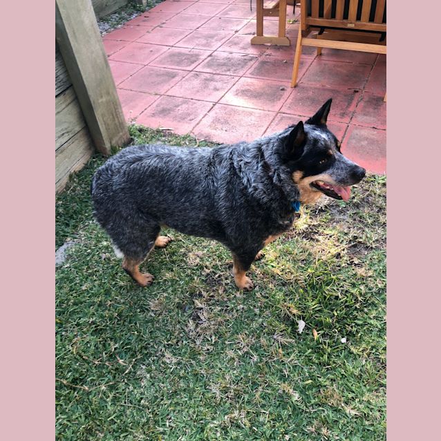 Photo of Lilly