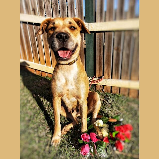 Photo of 1433. Precious