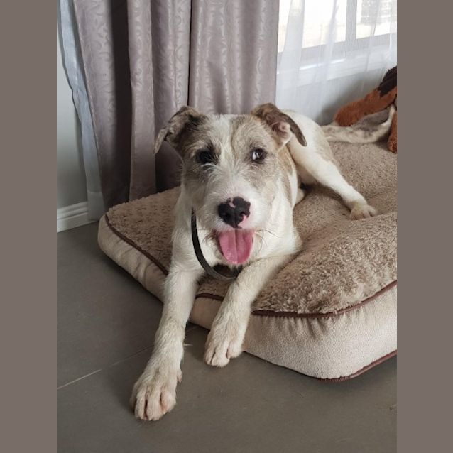 Photo of 1634. Minnie