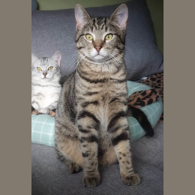 Photo of Quill ❤