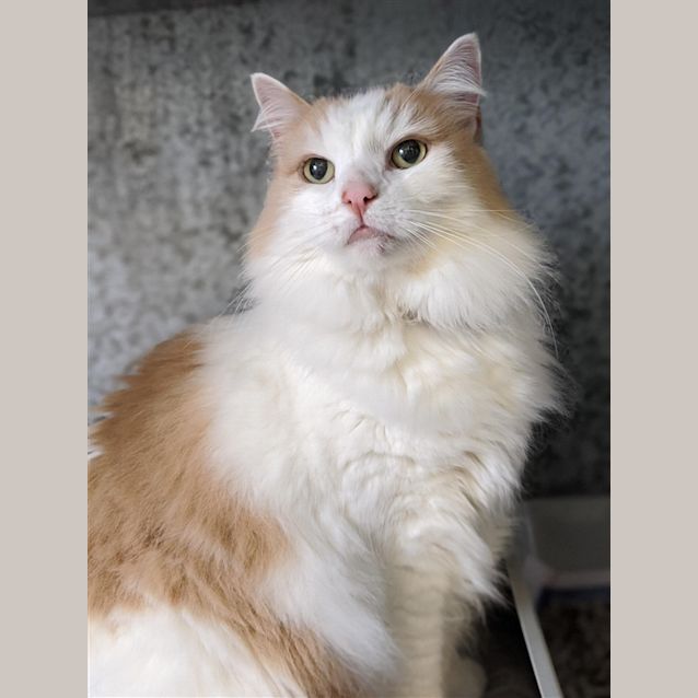 Photo of Lilly
