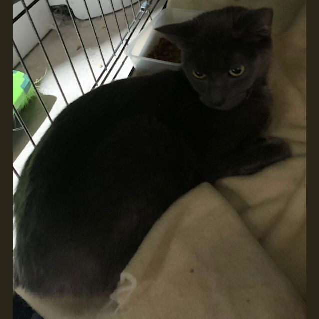 Photo of Slinky