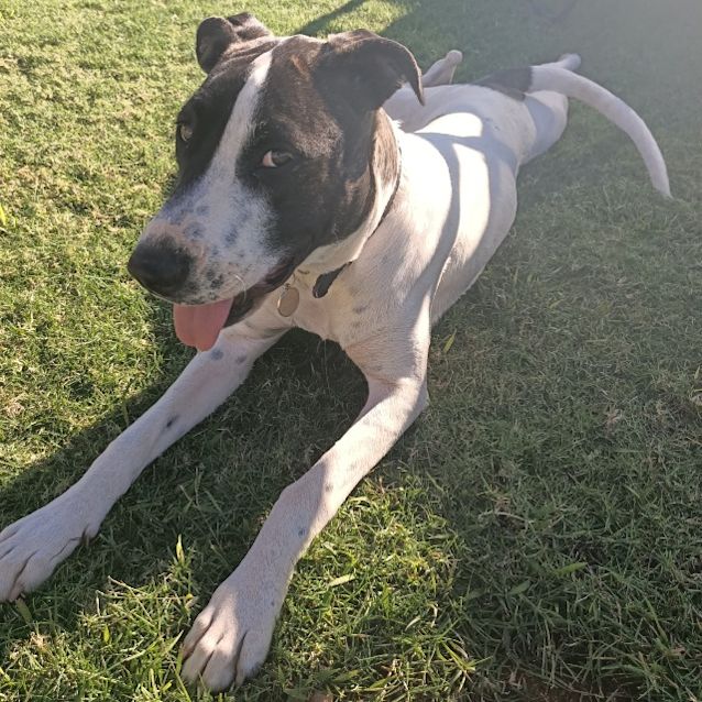 Photo of Tilly