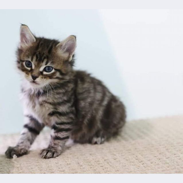 Photo of Buster 