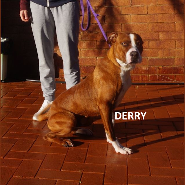 Photo of Derry