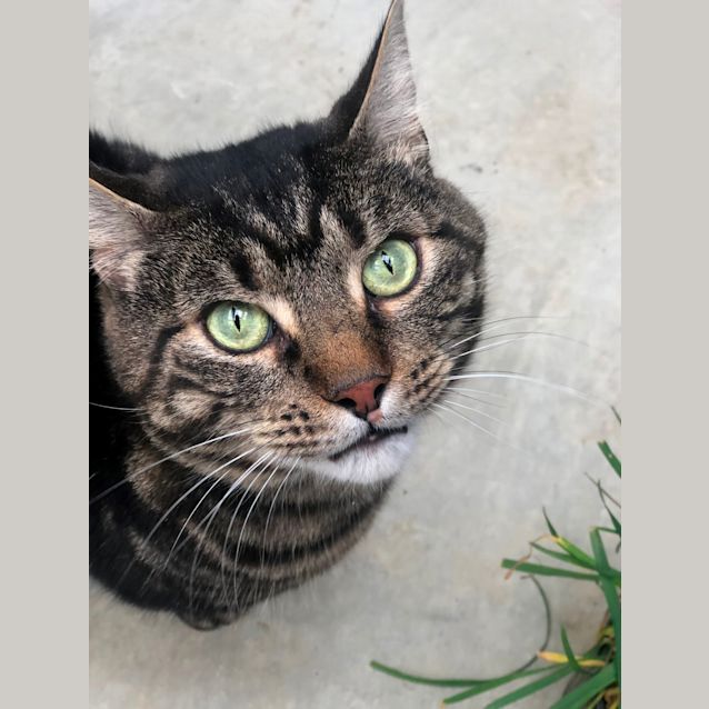 Photo of Alvin